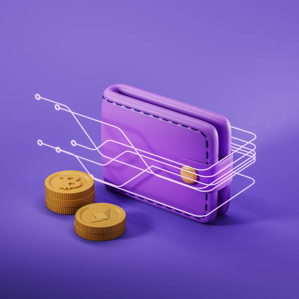 flash usdt software 2025